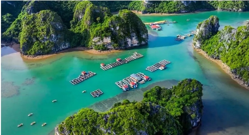 Vịnh Bái Tử Long Bay - tour Bái tử Long 1 ngày - Bai Tu Long Bay 1 day tour